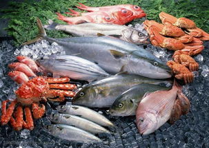 开渔了 各种新鲜的虾兵蟹将,就在上海周边的海岛等着你