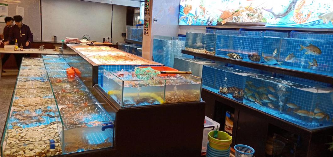 衡阳超市饭店海鲜鱼池设计和制作首选海鲨水族工厂